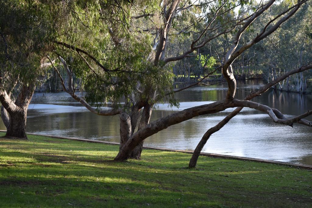 Bushy Lake Chalets Margaret River Dış mekan fotoğraf