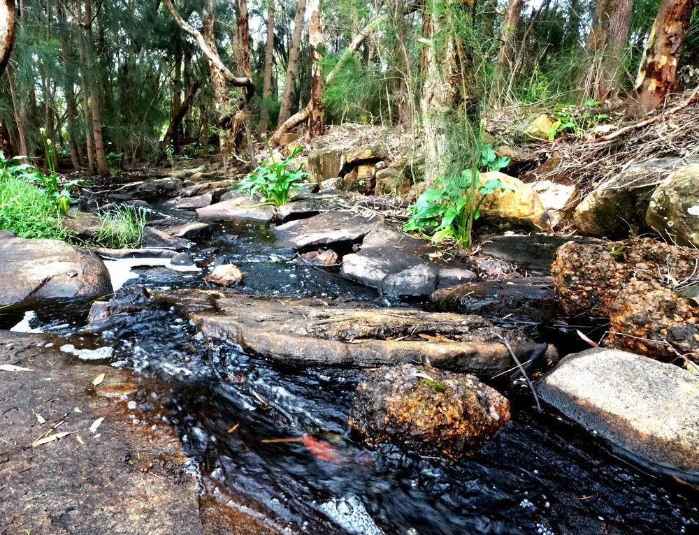 Bushy Lake Chalets Margaret River Dış mekan fotoğraf