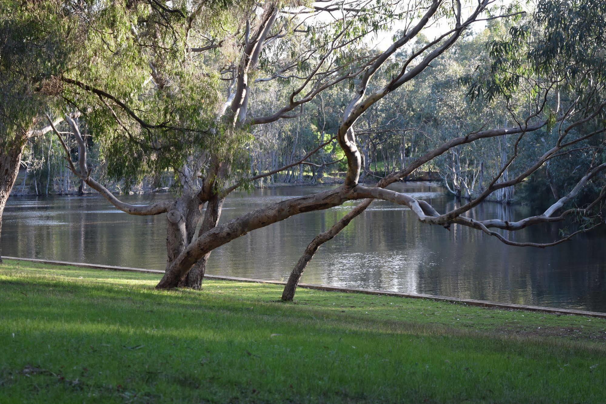 Bushy Lake Chalets Margaret River Dış mekan fotoğraf